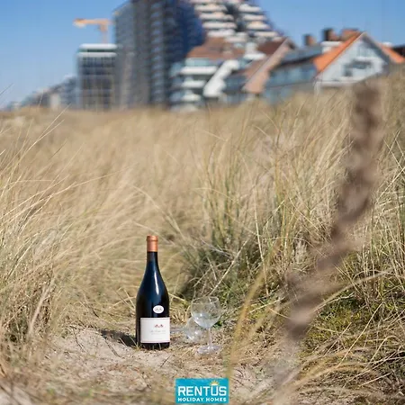Ensor Zee - Sea View & Comfort Oostduinkerke Apartman Koksijde